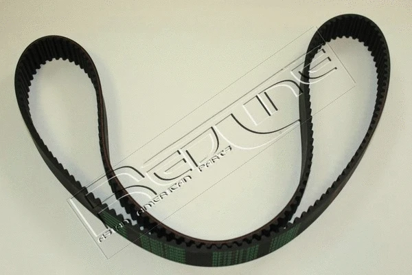 Timing Belt (29MZ005)
