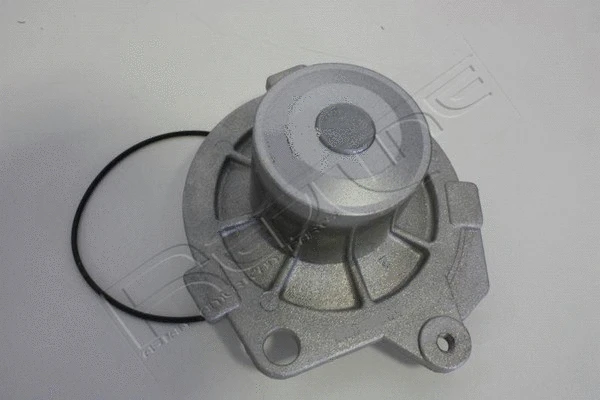 Water Pump, engine cooling (28SZ021)