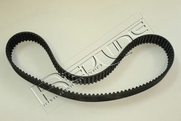 Timing Belt (29MI025)
