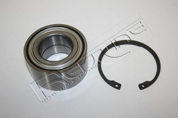 Wheel Bearing Kit (24NI045)