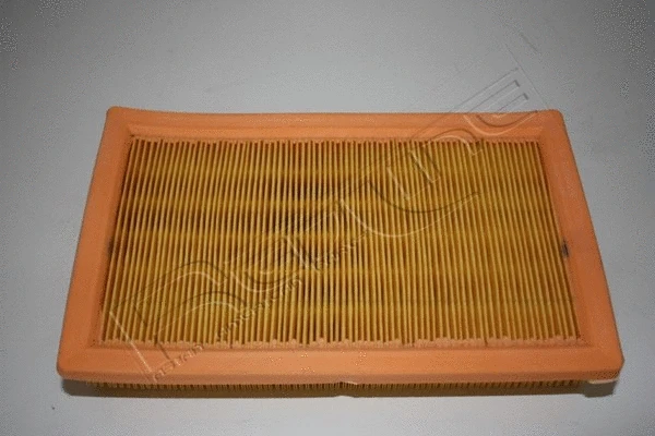 Air Filter (36PG001)