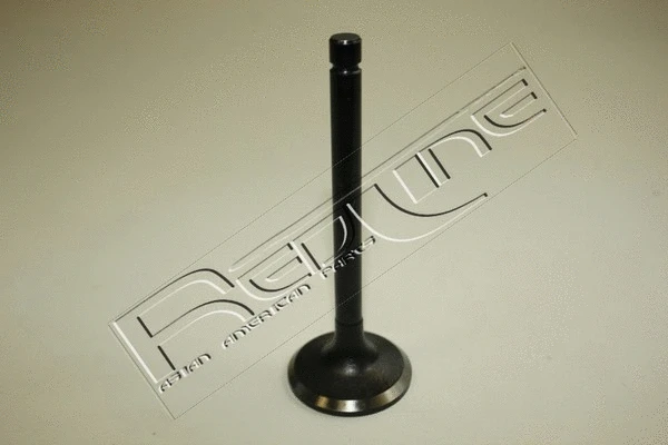 Intake Valve (15TO019)