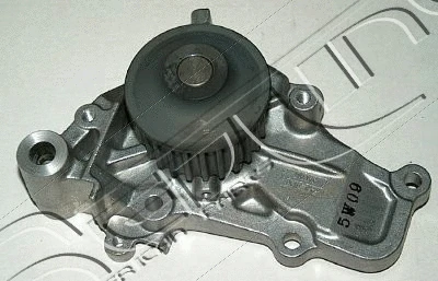 Water Pump, engine cooling (28MI003)