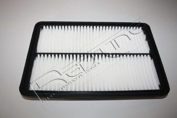 Air Filter (36HY096)
