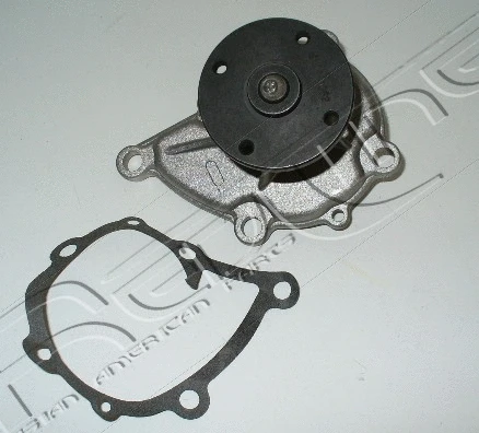 Water Pump, engine cooling (28NI019)