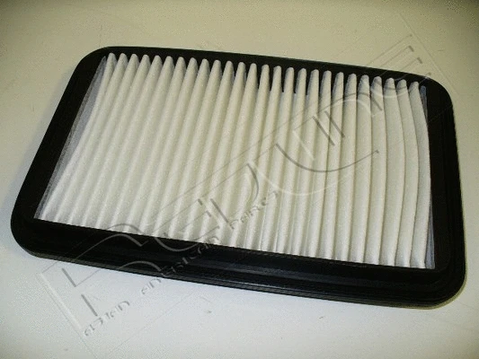 Air Filter (36SZ027)