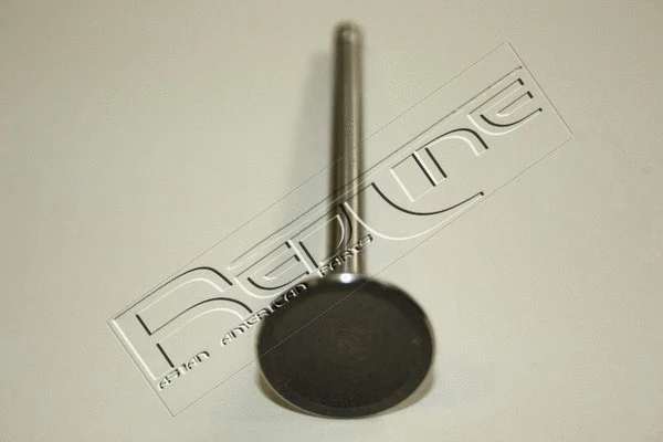 Exhaust Valve