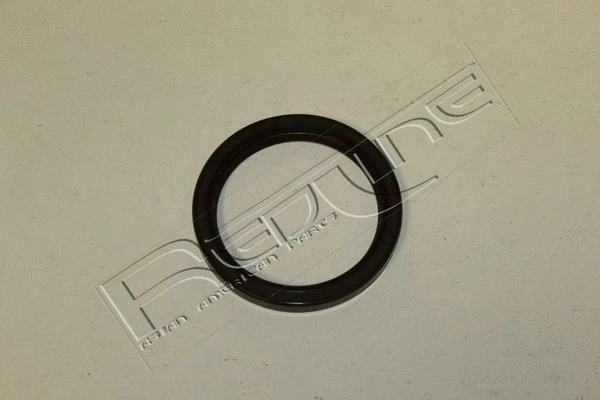 Shaft Seal, crankshaft (44NI012)