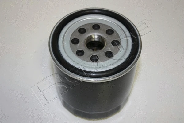 Oil Filter (38IZ009)