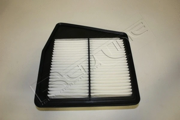 Air Filter (36HO038)
