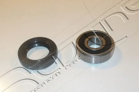 Wheel Bearing Kit (24DA009)