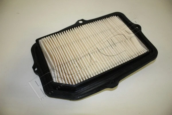 Air Filter (36HO037)