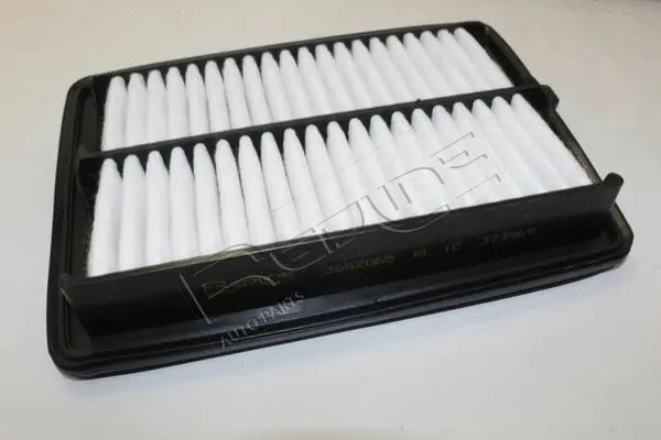 Air Filter (36SZ065)