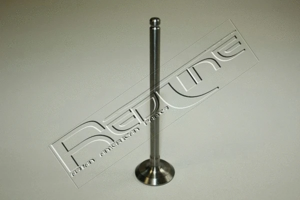 Exhaust Valve (15DA009)