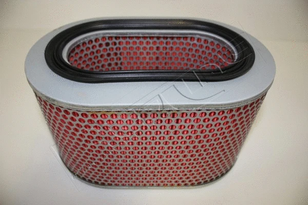 Air Filter (36MI000)