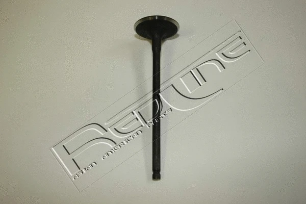 Intake Valve (15NI032)