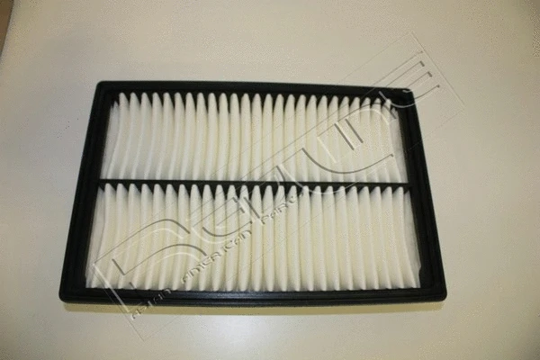 Air Filter (36HY025)