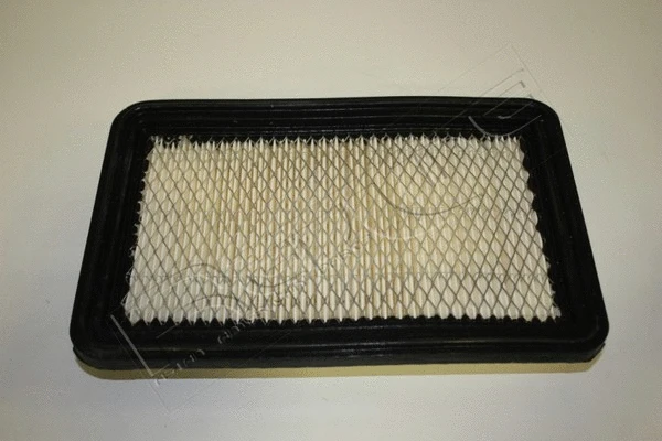 Air Filter (36CH017)