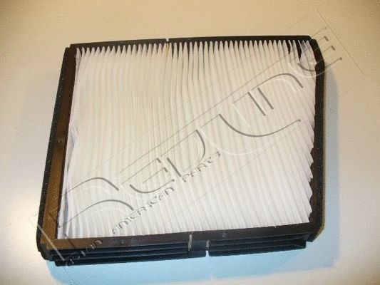 Filter, cabin air (36DW010)