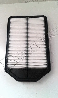 Air Filter (36HO054)