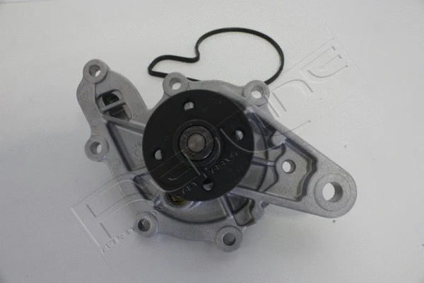 Water Pump, engine cooling (28SM000)