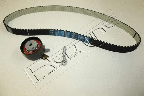 Timing Belt Kit (30NI036)