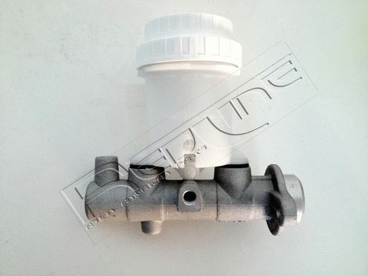 Brake Master Cylinder (09MI017)
