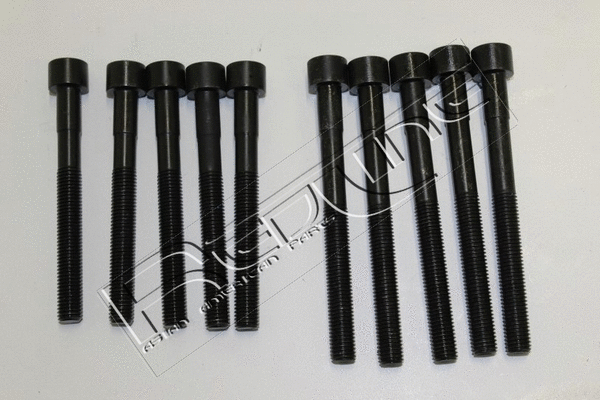 Cylinder Head Bolt Set (00TO025)