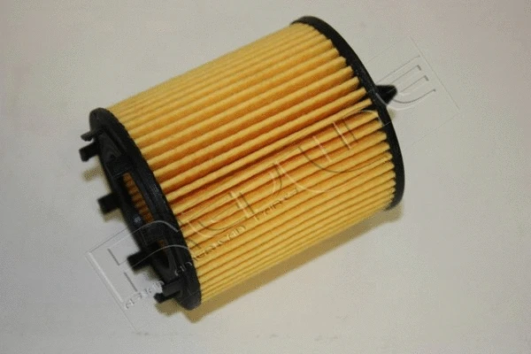 Oil Filter (38CD001)