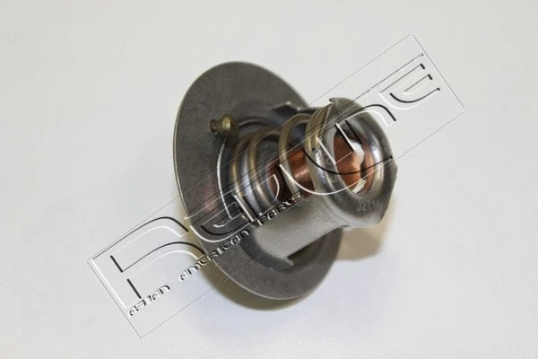 Thermostat, coolant (55SZ006)