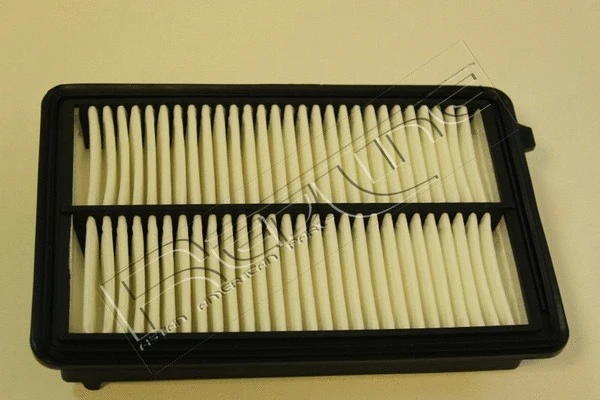 Air Filter (36HO055)