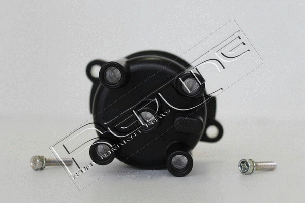 Distributor Cap