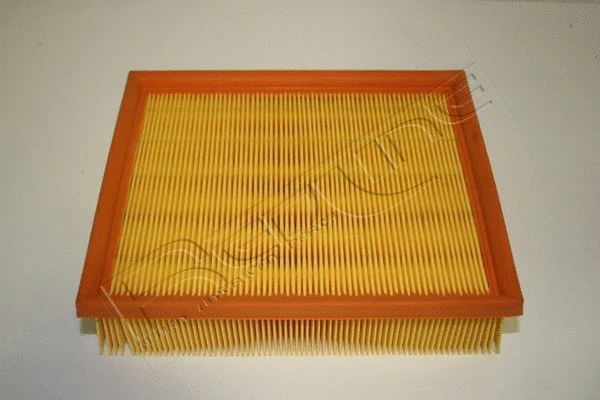Air Filter (36OP002)
