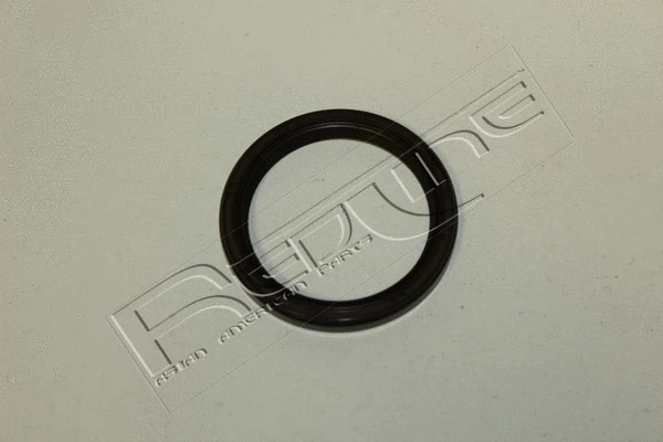 Shaft Seal, crankshaft (44NI013)
