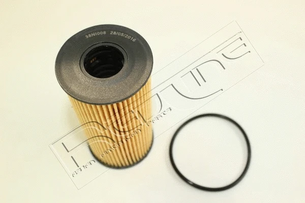 Oil Filter (38NI006)