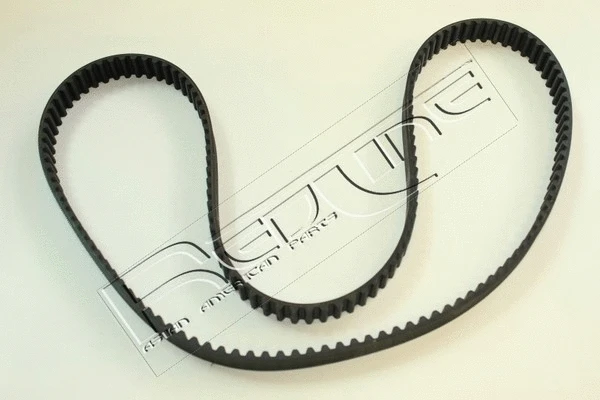 Timing Belt (29NI010)