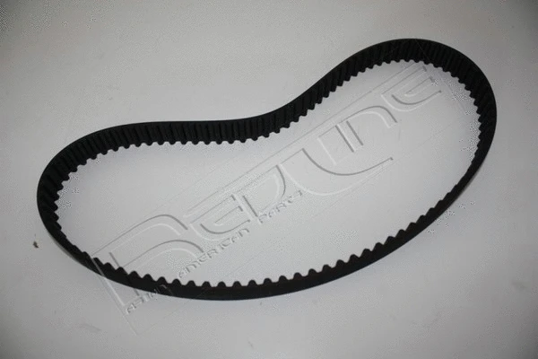 Timing Belt (29NI000)