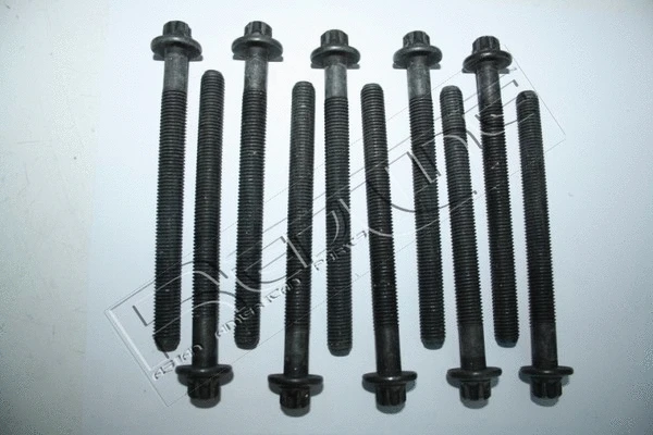 Cylinder Head Bolt Set (00NI015)