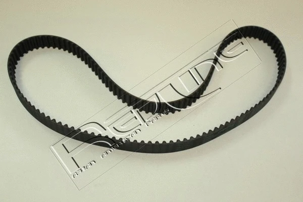 Timing Belt (29CV003)