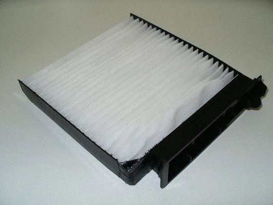 Filter, cabin air (36NI035)