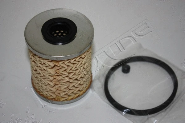 Fuel Filter (37NI008)