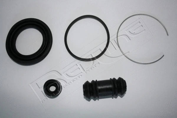 Repair Kit, brake caliper (53IZ001)