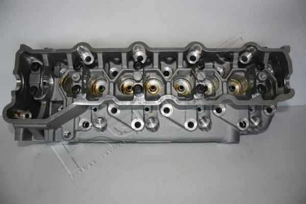 Cylinder Head (21MI012)