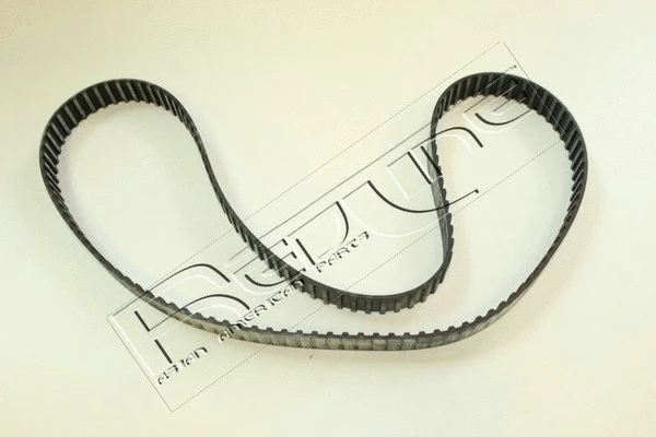 Timing Belt (29NI014)