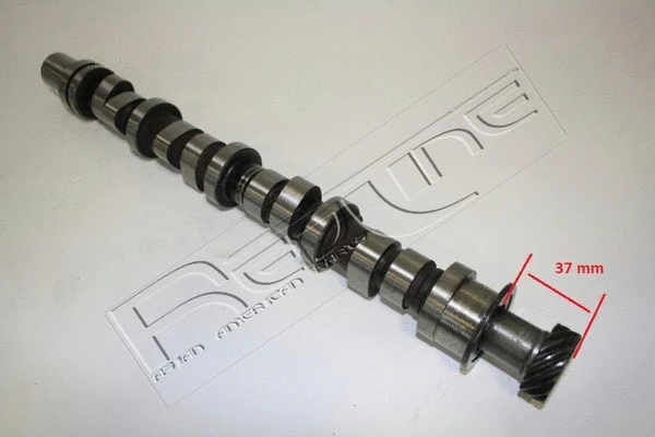 Camshaft (16SZ001)