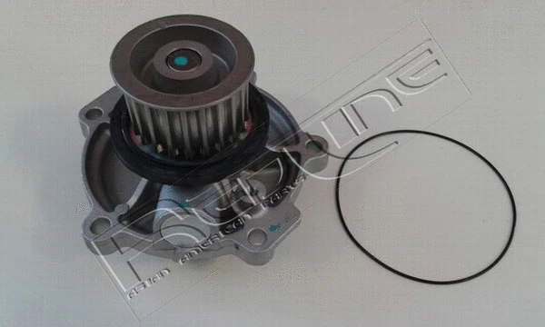 Water Pump, engine cooling (28CH015)
