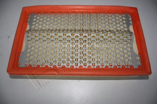 Air Filter (36SS018)