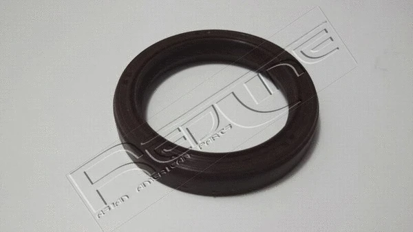Shaft Seal, camshaft (44DA000)