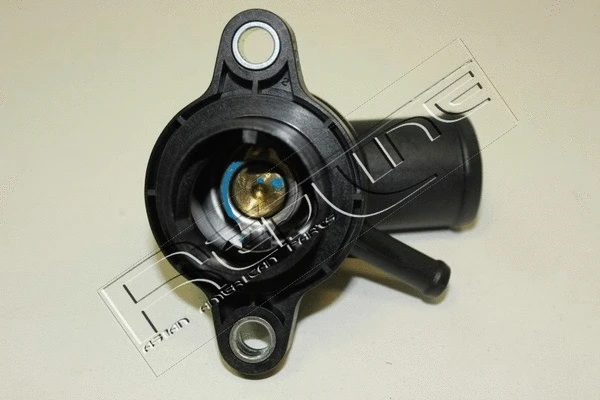 Thermostat, coolant (55DW002)