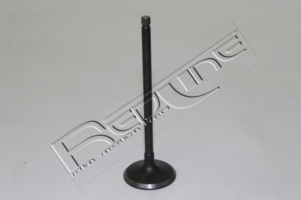 Intake Valve (15DW010)